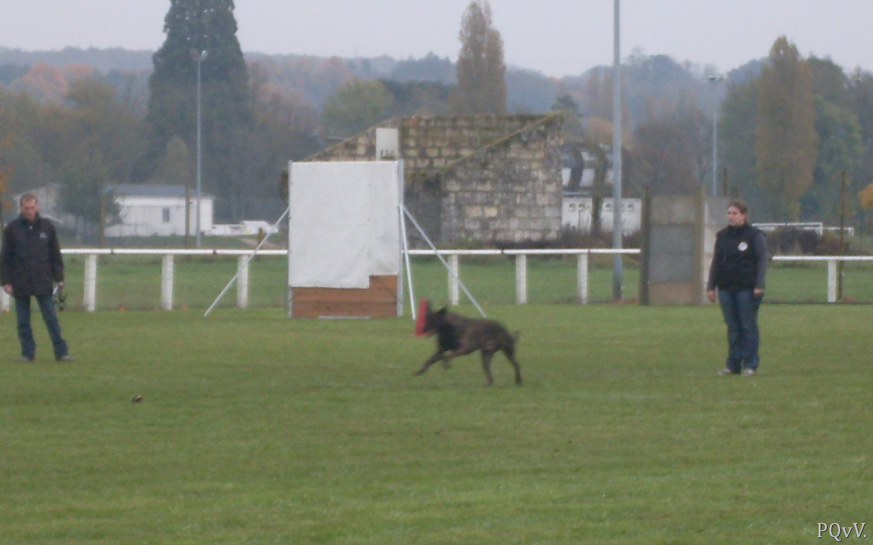  Eros des Crocs d’Olympe
